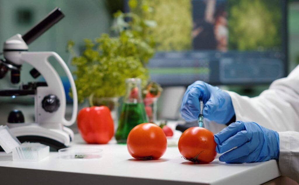 B.Sc Food Technology at Yenepoya Bangalore Campus